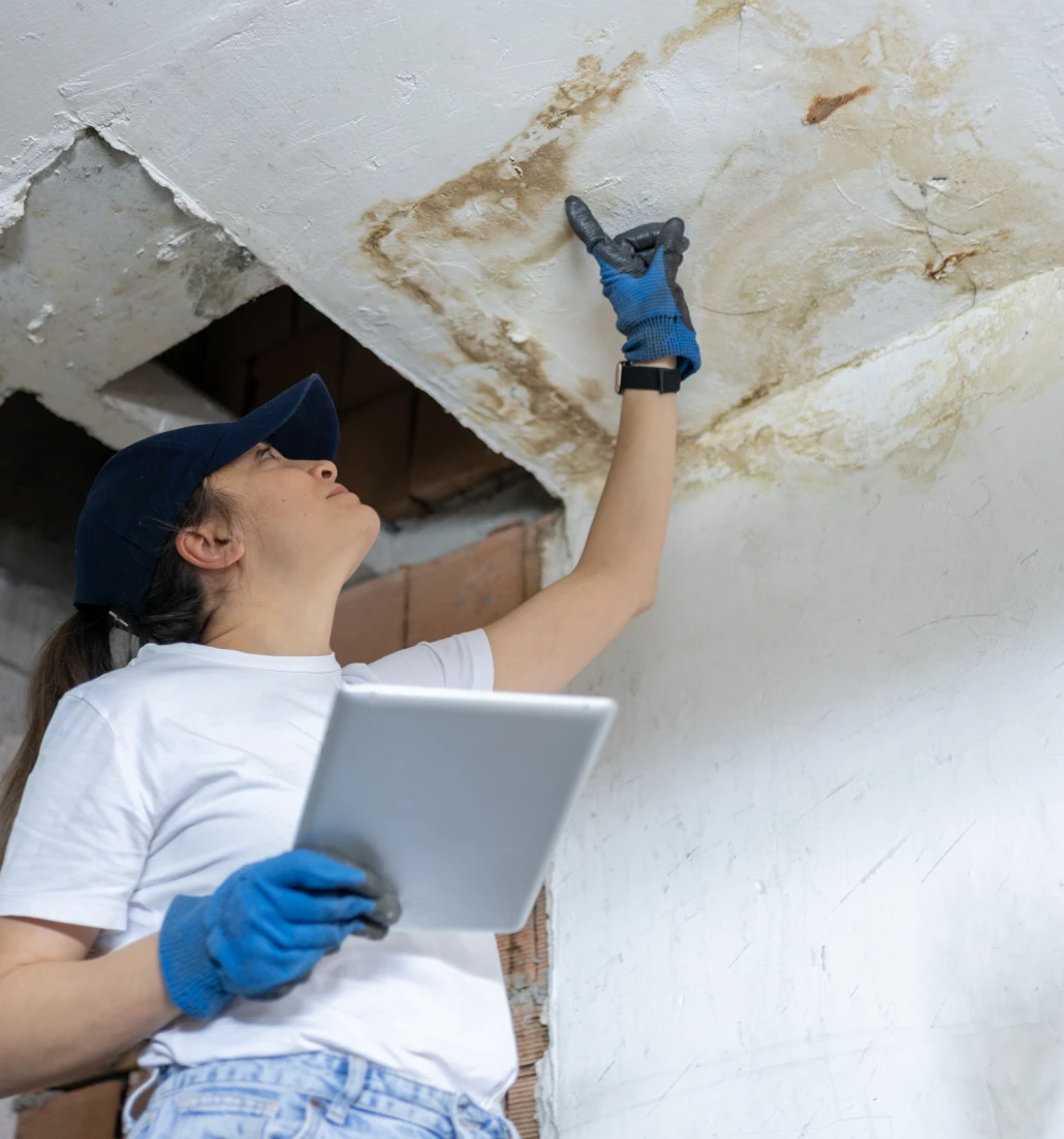 Person examining water stains on ceiling